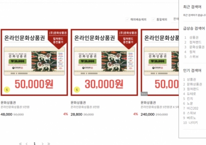 [단독]제2의 티메프 우려…금강제화 3세 운영 패션플랫폼 '상테크 성지'