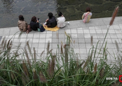 [포토] 청계천에 찾아온 가을