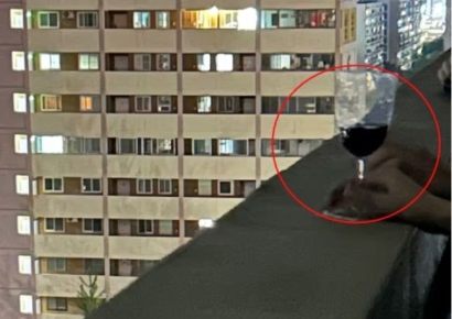 "입주민 일행인데 무단침입이라니"…'불꽃축제 와인' 당사자 반박