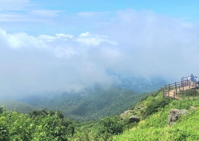 무심코 지리산에 버린 컵라면 국물…국립공원 한해 '음쓰'만 65t