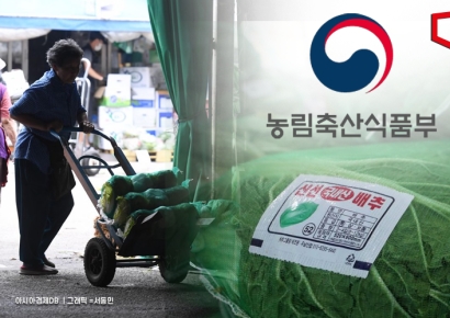 농식품부 "이달 중순 배추 수급 안정…조기 출하·수입 공급"