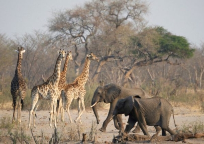 대만에서 빌린 돈 덕분에 인생 바뀌어…딸 이름 '타이완'으로 바꿨다
