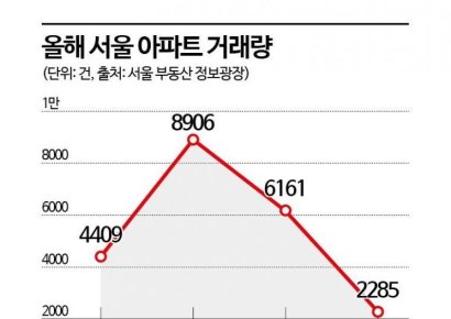 전문가들 "금리인하에도 집값 안 오른다… 대출규제가 더 큰 영향"