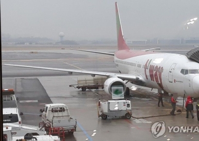 "승무원이 기내서 한 잔"…8개 항공사, 100억원대 과징금