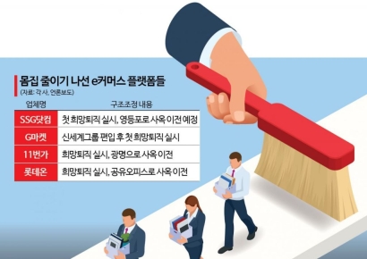 [위기의 e커머스]①티메프 사태 100일…유통산업 덮친 규제 쓰나미