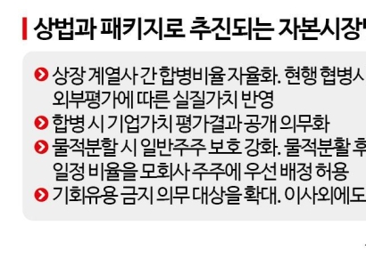 민주당  '즉시 시행' 상법 개정안 재추진