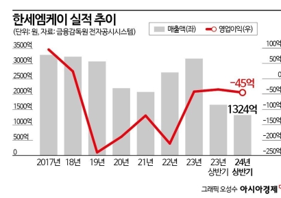텅 빈 통장…한세 오너 막내딸의 '부채경영' [Why&Next]