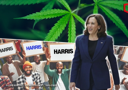"흑인 남성 표심 잡아라" 텃밭 위기신호에…해리스, 맞춤형 공약 내놨다
