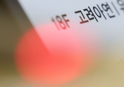 MBK·영풍 "고려아연 시세조종·불공정거래 행위 등 금감원 진정서 제출" 