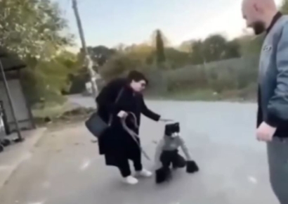 네발로 기며 '으르렁' 하더니 사람도 물어…이게 왜 유행?