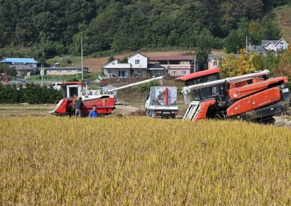 쌀값 상승에…지난해 농업소득 1000만원대 회복