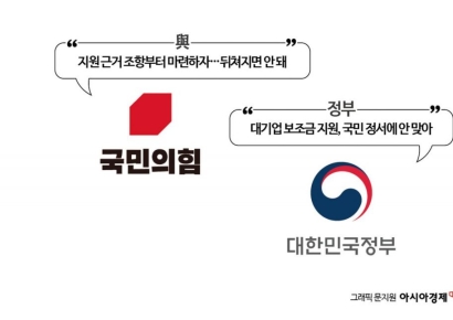 국민의힘, 반도체특별법 왜 발의 안하나…기재부와 '직접 보조금' 이견