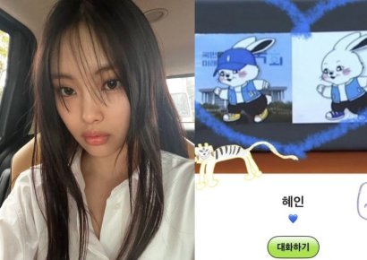 뉴진스 혜인, ‘민주당 버니즈’로 프로필 변경…'정치색' 논란 일자 결국 삭제