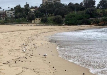 호주 해변에 밀려온 수백 개 '검은 공'…"만지면 안 돼" 경고도 