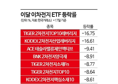 "회복되나 했는데"...이차전지 ETF 다시 방전
