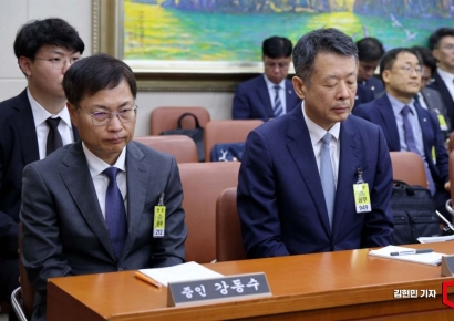 [포토] 국감에 증인 출석한 김광일 부회장과 강동수 부사장
