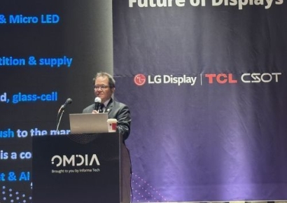 "중국, OLED 시장 빠르게 추격…삼성·LG디스플레이 위협"
