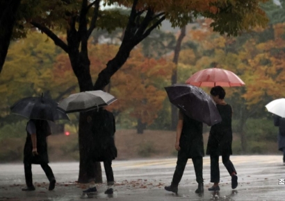 [포토] 가을비와 단풍