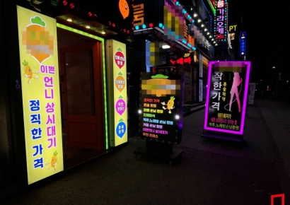 "이쁜 언니 상시 대기" 길 한복판 낯뜨거운 간판…단속은 '나몰라라'