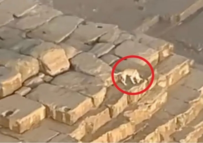 "죽음의 신 아누비스의 등장?"…136m 피라미드 꼭대기서 '멍멍'