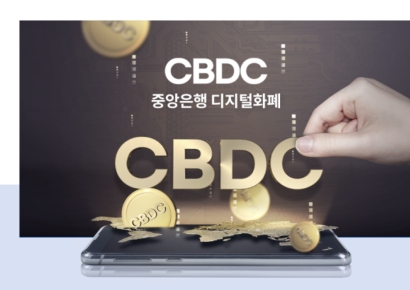 카리브해의 디지털화폐는 왜 실패했나[디지털 원화가 온다]②