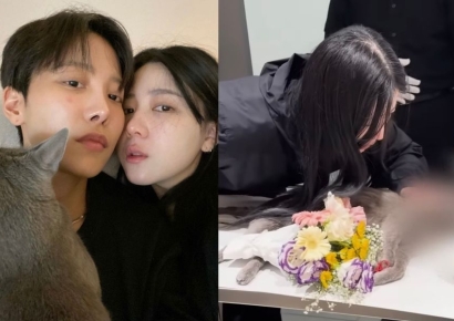 "청소업체에 창문 열지 말라했는데"…반려묘 추락사에 유튜버 '오열'