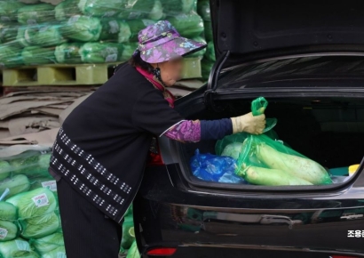 [포토] 차에 배추 무 싣는 상인