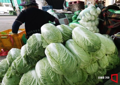 이마트, 김장철 맞아 1000원대 배추 선보인다…69만포기 확보