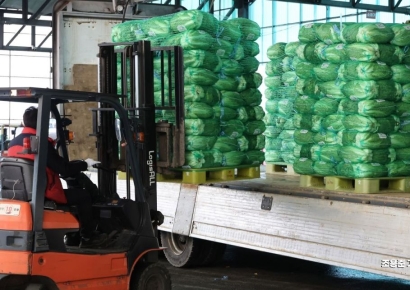 [포토] 김장배추값 폭등