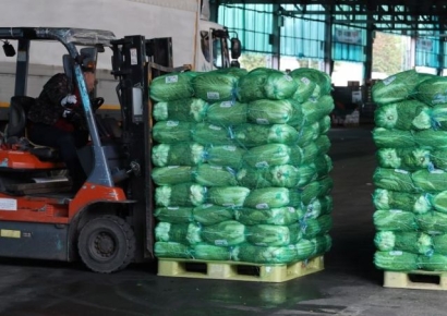 "김장대란 걱정 없네"…배춧값 한 달 새 63% '뚝'