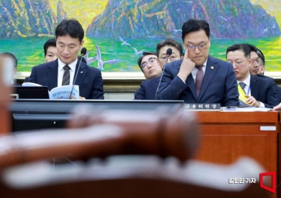[2024 국감] "금감원장 업무추진비 공개 거부…금감원 시간외수당 고갈 원인 규명해야"
