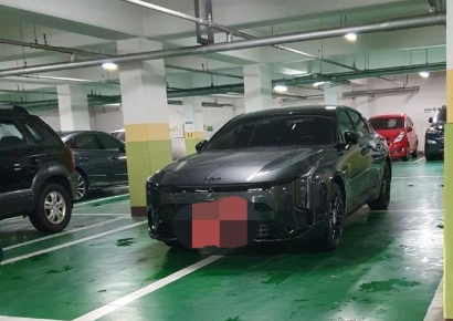 "바둑판 흑돌인 줄"…주차장 4칸 차지한 차주에 누리꾼 분노