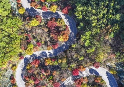 [포토] 가을옷 갈아 입는 보발재