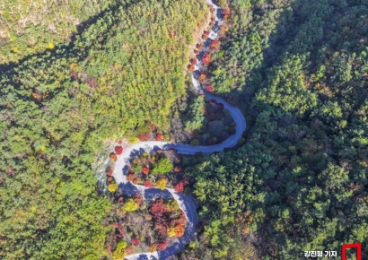 [포토] "보발재 단풍은 좀더 기다리세요"