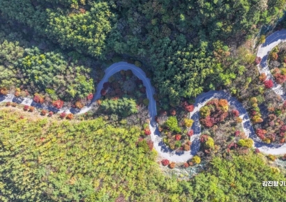[포토] 단풍 물드는 보발재