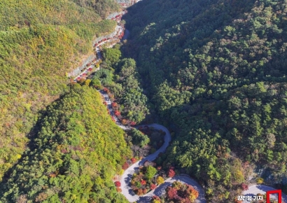 [포토] '올해는 단풍 조금 늦네...'