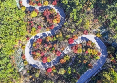 [포토] 붉은색 옷 갈아 입는 보발재