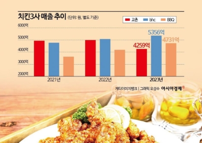 'K-치킨 3강' 왕좌의 게임…변우석 업은 교촌의 반격