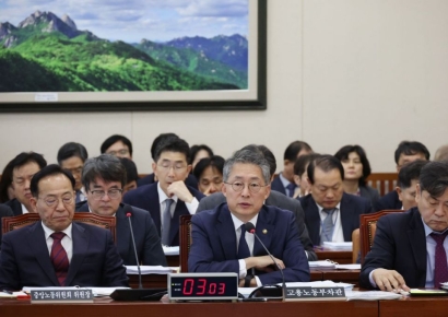 [2024 국감]김민석 고용차관 "정년연장, 임금체계 개편 전제해야"