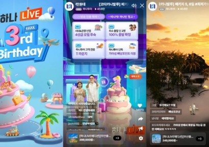 "라방에 뜨니 3분 매진"…여행업계, '티메프 사태' 돌파구