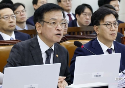 [2024 국감]최상목 "가용자금 확보 위해 외평기금 활용 불가피"