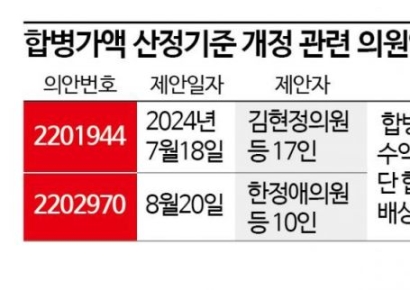 기업 합병 시가 아닌 자율화 가닥…견제장치 필요
