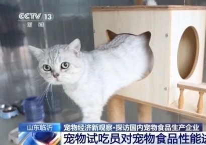 반려동물에 빠진 중국 MZ세대...여행부터 펫보험까지[中돋보기]