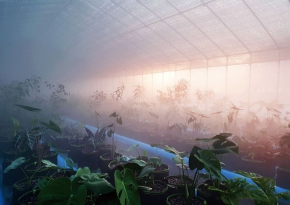 4일간 470명 몰려 마감…가고 싶어도 못 가는 폐교의 '화려한 변신'