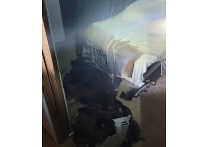 파주 산후조리원 불…산모·신생아 38명 대피