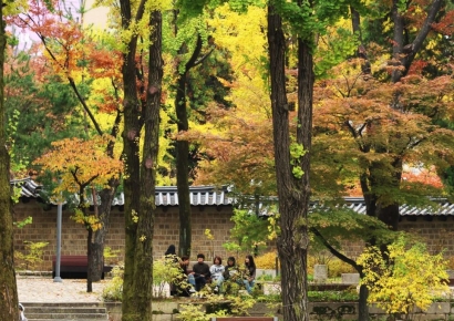 서울 낮 기온 25도…관측 이래 11월 기온 역대 4위