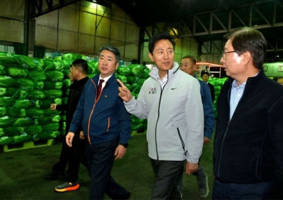 오세훈, 배춧값 대란에 가락시장 찾아 "민생이 정치 본질"