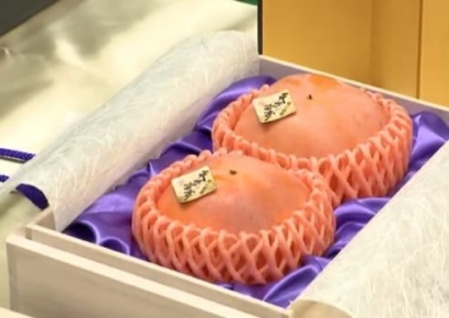 얼마나 대단한 맛이길래…900만원에 낙찰된 '단감 2알' 日 화제