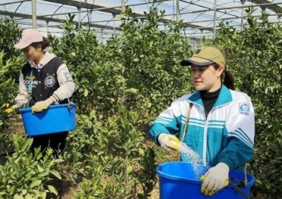 한국서 일하는 베트남 노동자 제일 많이 버네…日보다 월급 33% 높다