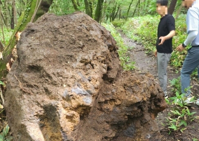 4톤짜리 한라산 '뽀빠이석' 노리다 등산로에 떨어뜨린 일당, 결국은…